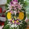 Đau thương H257