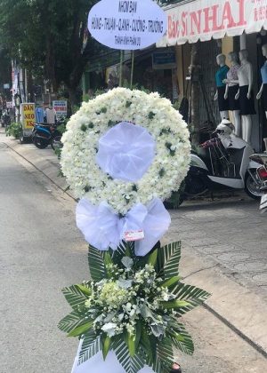 Cánh chim cuối trời - HTL026