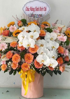 Sắc Xuân Rạng Rỡ - CM271