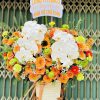 Ánh Sáng Rực Rỡ - CM262