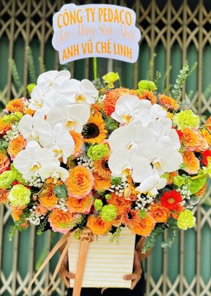 Ánh Sáng Rực Rỡ - CM262