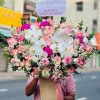 Mộng Mơ Phương Đông - CM264