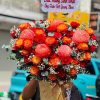 Ngọn Lửa Rực Rỡ - CM263