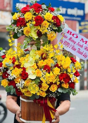 Vầng Dương Rực Rỡ - CM269
