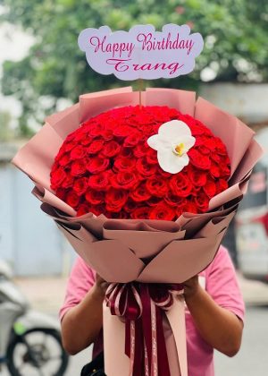 Vương Miện Tình Yêu - CM056