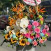 Hòa Sắc Thiên Nhiên - CM270