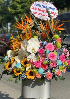 Hòa Sắc Thiên Nhiên - CM270