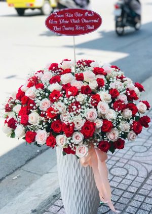 Thịnh Vượng Đỏ Trắng - CM272
