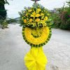Hoa viếng cúc vàng