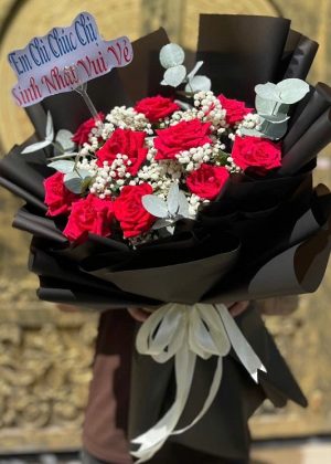 Hồng đỏ huyền bí - CM011