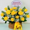 Ánh Dương Thành Công - CM203