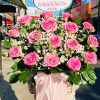 Hồng Phát Tỏa Sắc - CM205