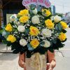 Sắc Xuân Vàng Trắng - CM206