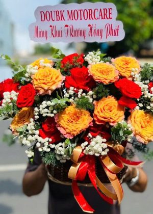 Rực Rỡ Thành Công - CM207