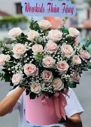 Dịu Dàng Thanh Xuân - CM209