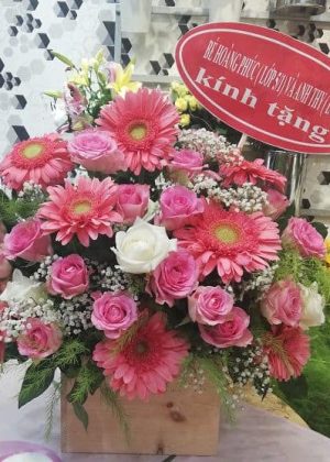 Tiền tài HSN015