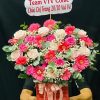 Niềm Vui Ngày Mới - CM217