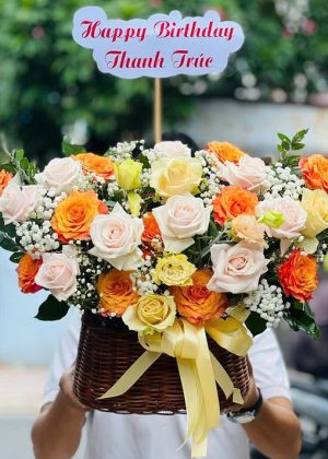 Rạng Ngời Ngày Mới - CM220
