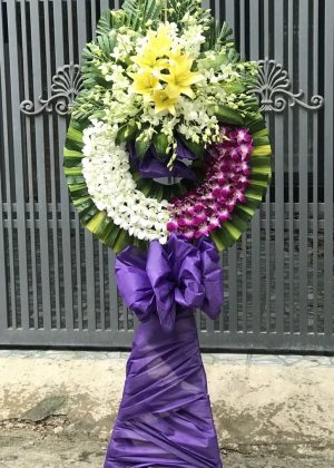 HV002 -  Thương Tiếc