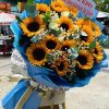 Rực Rỡ Mặt Trời - CM040