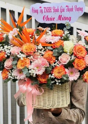 Sức Sống Mới - CM233