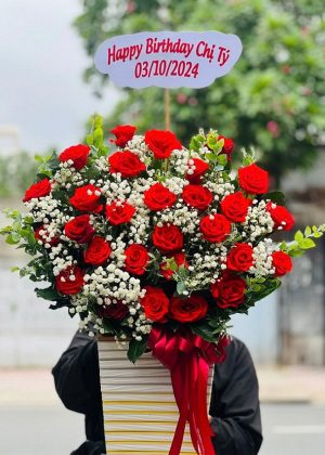 Sắc Đỏ Hạnh Phúc - CM234