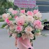 Hòa sắc - CM238