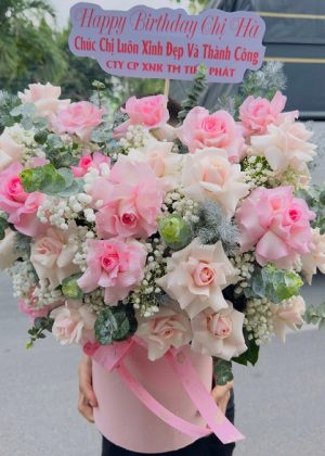 Hòa sắc - CM238