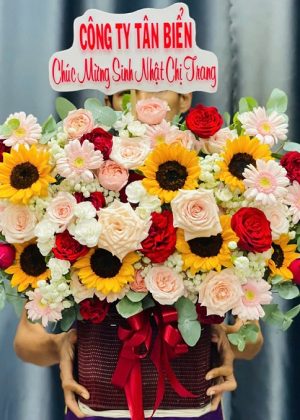 Nắng Ấm Yêu Thương - CM244