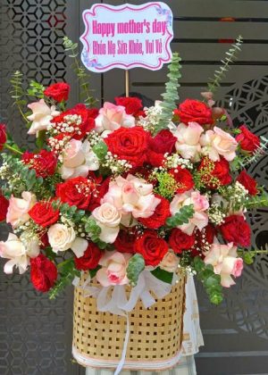 Vẻ Đẹp Tinh Tế - CM245