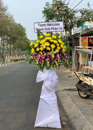 Hoa viếng giá rẻ
