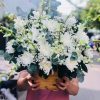 Giỏ hoa viếng - hoa đám giỗ