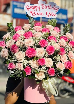 Mộng Mơ Hồng - CM246