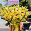 Nắng Ban Mai - CM250