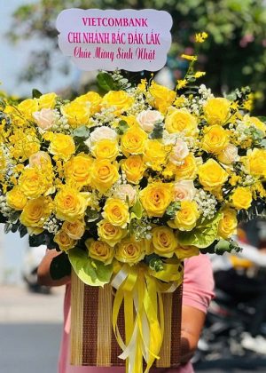Nắng Ban Mai - CM250