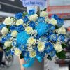 Đại Dương Xanh - CM251