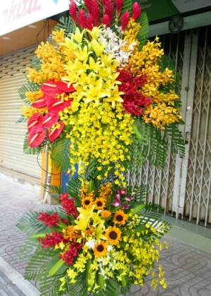 Lộc phát - H540
