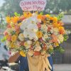 Ánh Nắng Mùa Thu - CM254