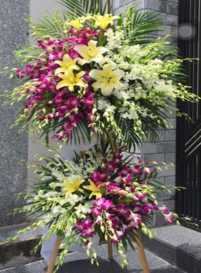Hai thế giới F575