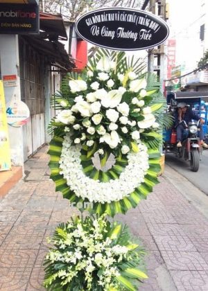Giọt lệ H077
