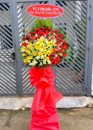 Hoa khai trương giá rẻ