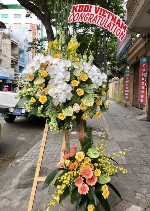 Vững vàng F456